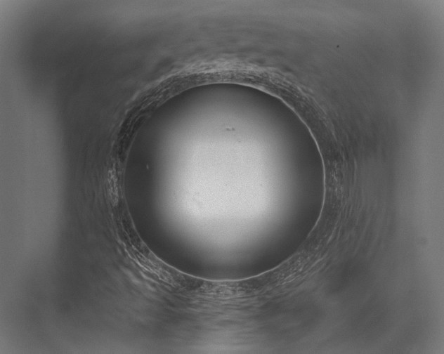 X0000076371493200610061044