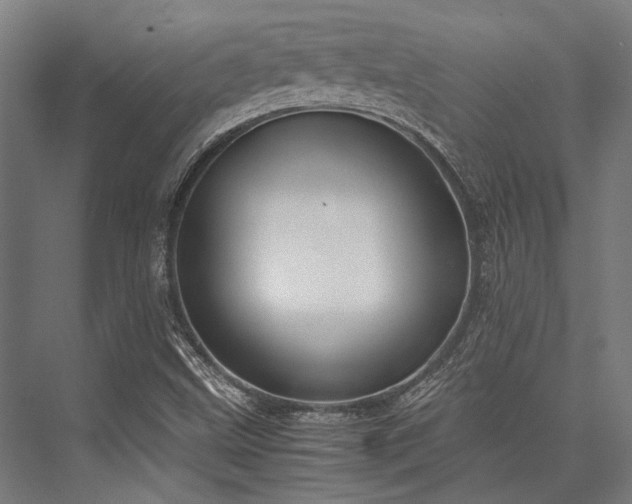 X0000076371499200610061044