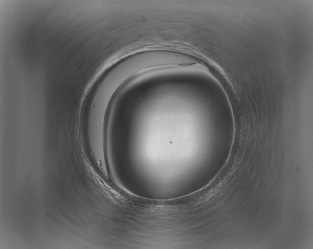 X0000076371506200610061045