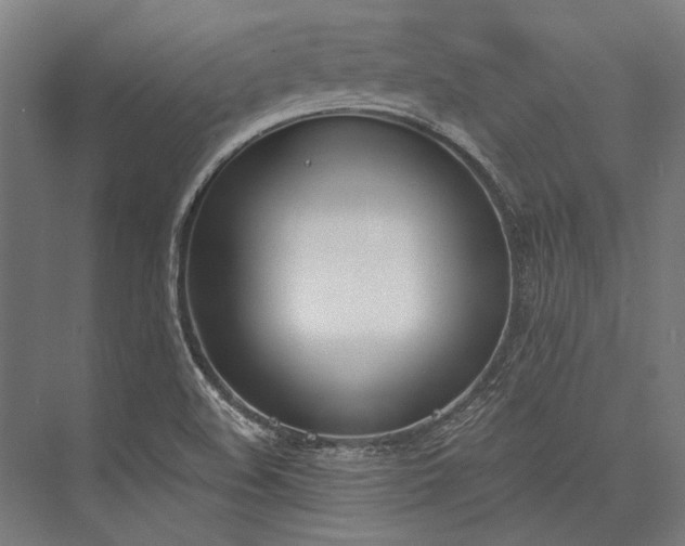 X0000076371508200610061045
