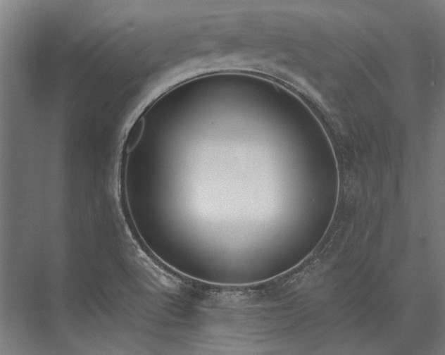 X0000076371512200610061045
