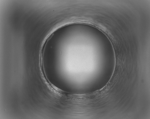 X0000076371520200610061045