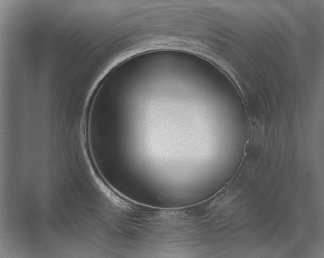 X0000076371531200610061045