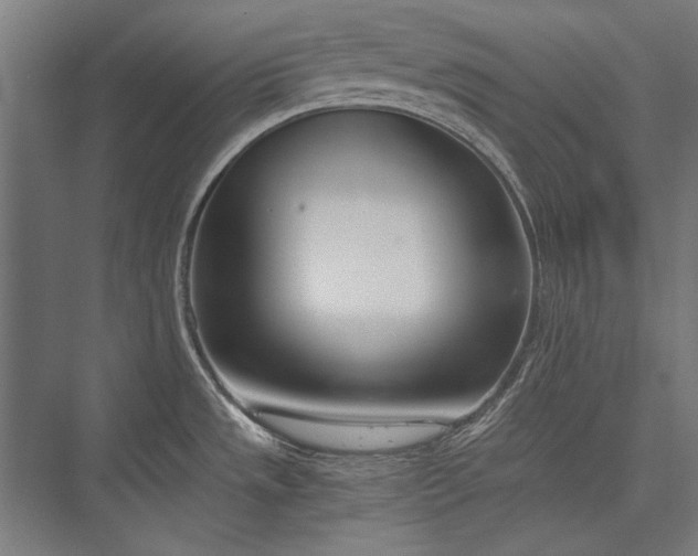 X0000076371533200610061045