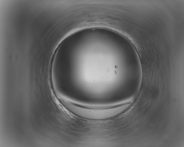 X0000076371534200610061045
