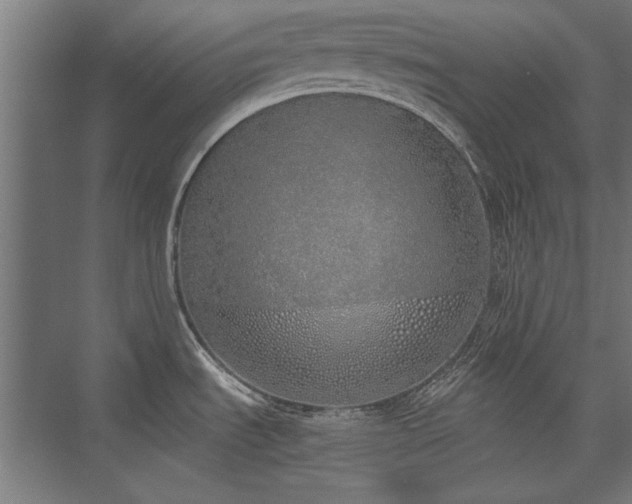 X0000076371535200610061045