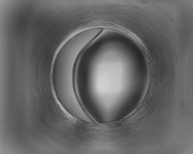 X0000076371536200610061045