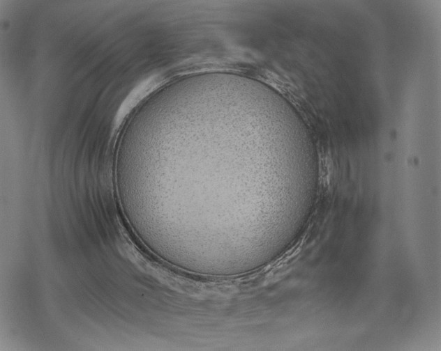 X0000076370004200610161101