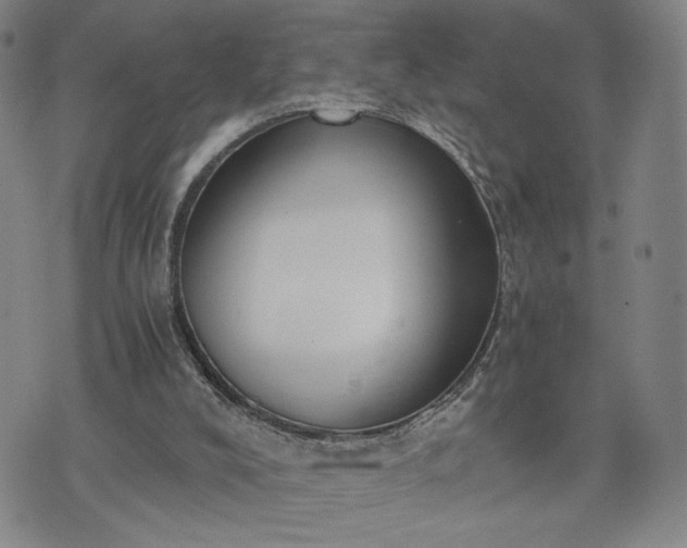 X0000076370008200610161101