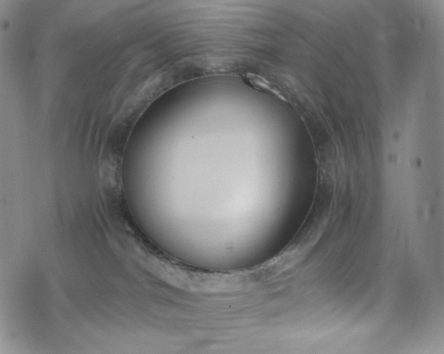 X0000076370044200610161101