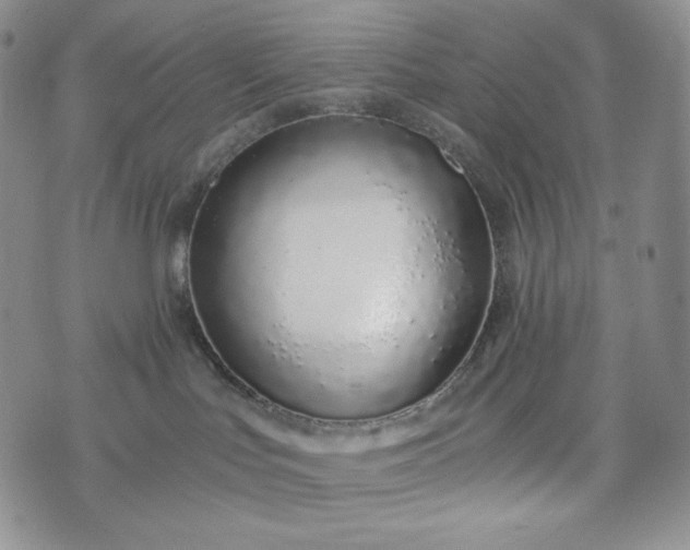 X0000076370047200610161101
