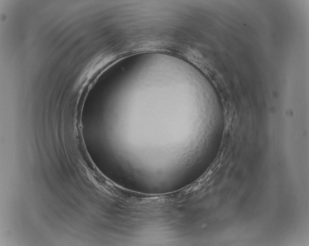 X0000076370050200610161100
