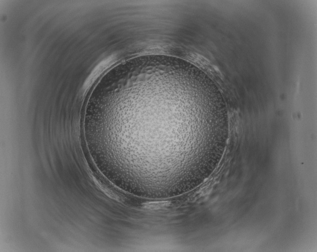 X0000076370051200610161100