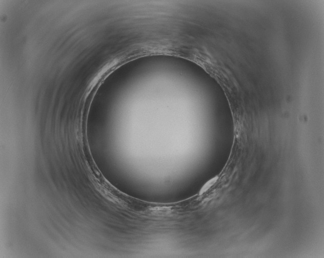 X0000076370052200610161100