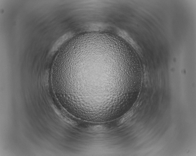 X0000076370058200610161100
