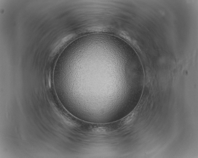 X0000076370062200610161100