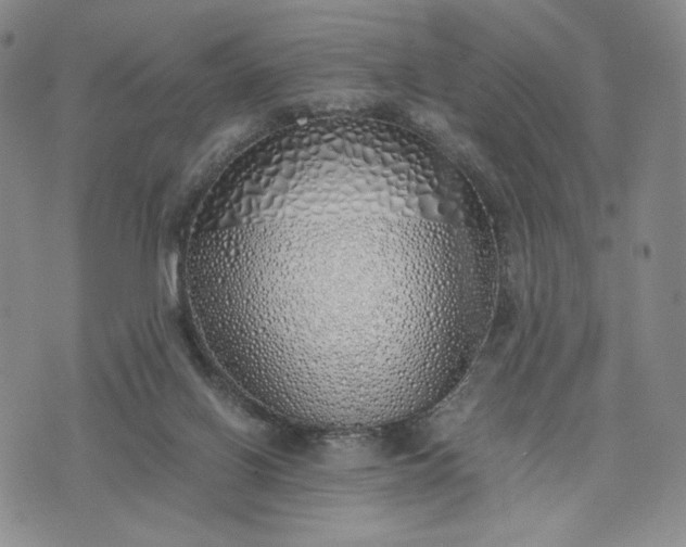 X0000076370070200610161100