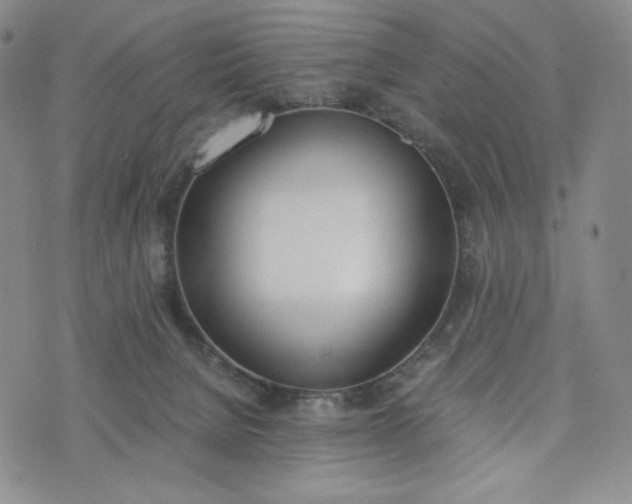 X0000076370080200610161100