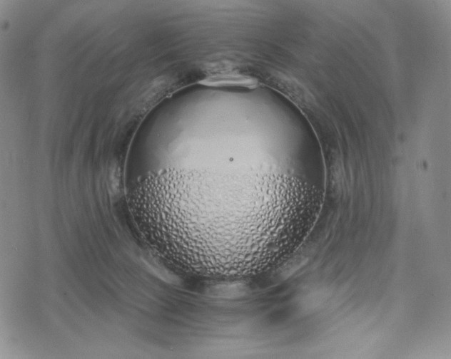 X0000076370081200610161100
