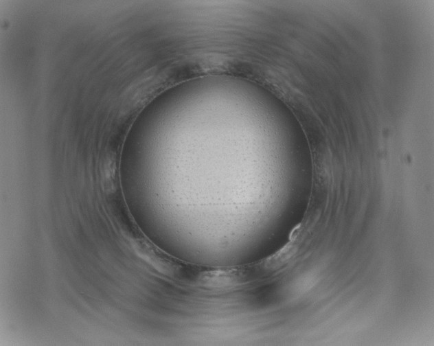 X0000076370082200610161100