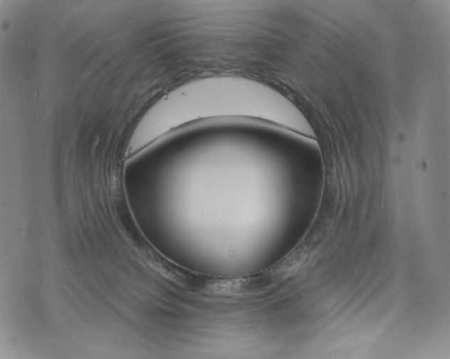 X0000076370084200610161100
