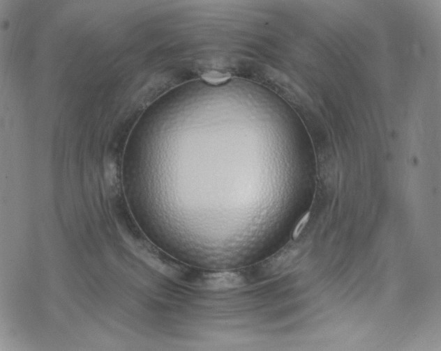 X0000076370087200610161100