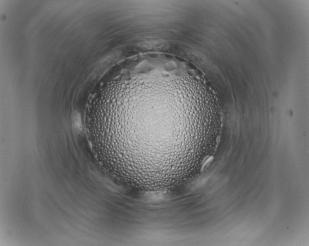 X0000076370089200610161101