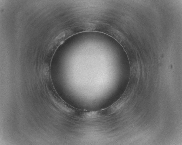 X0000076370092200610161101