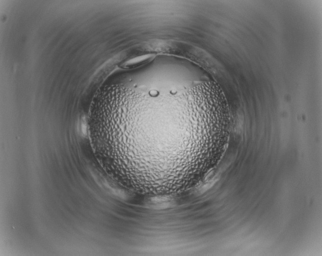 X0000076370095200610161101