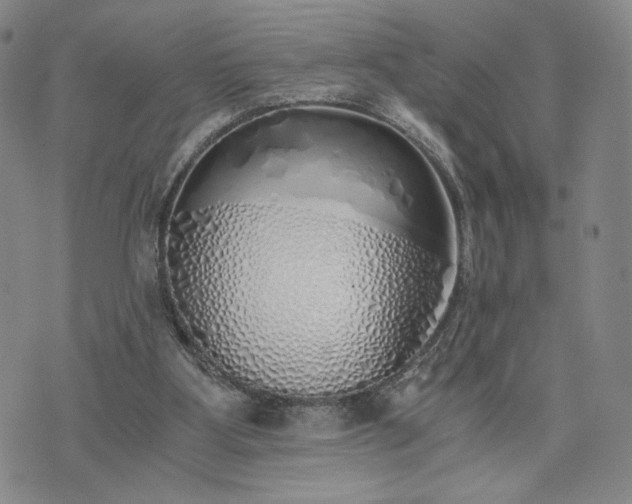 X0000076370107200610161100