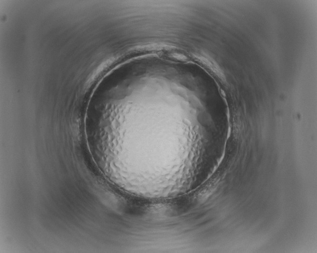X0000076370111200610161100