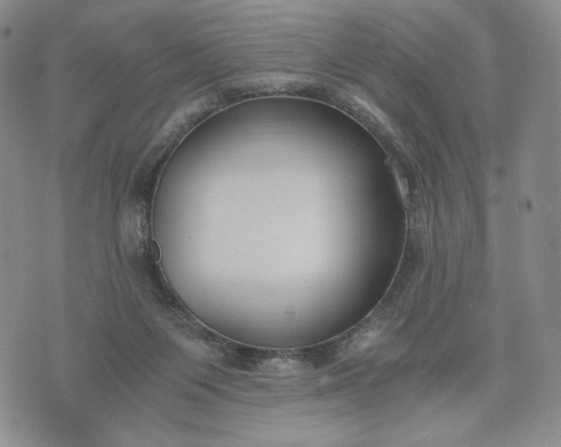 X0000076370119200610161100