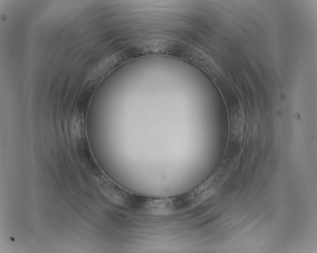 X0000076370126200610161059