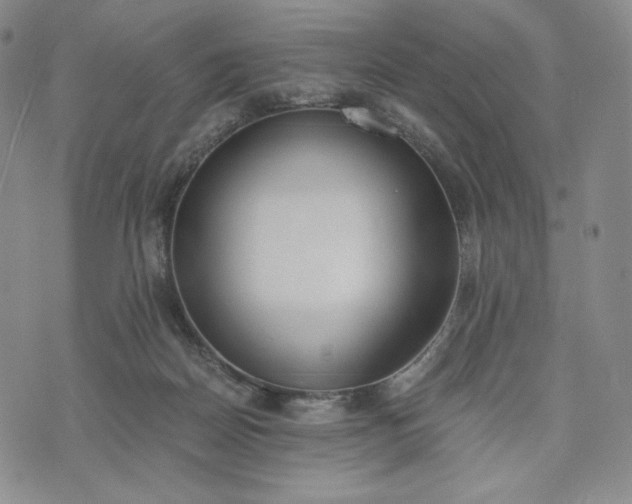 X0000076370170200610161059
