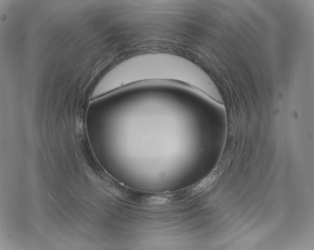 X0000076370176200610161059