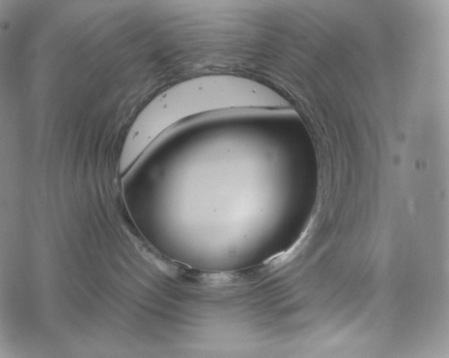 X0000076370192200610161059
