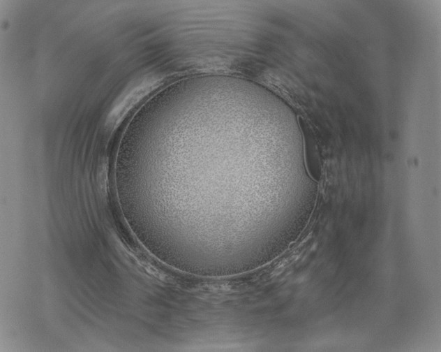 X0000076370194200610161058