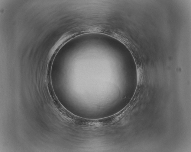 X0000076370195200610161058