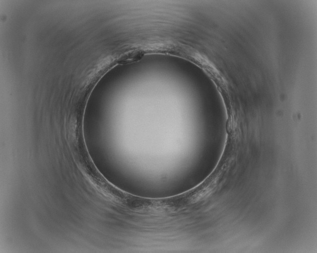 X0000076370201200610161058