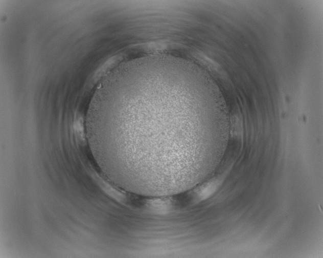 X0000076370238200610161058