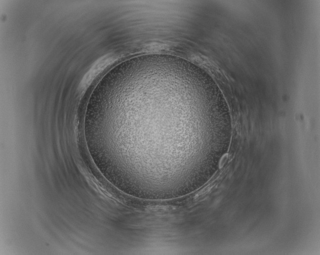 X0000076370242200610161057