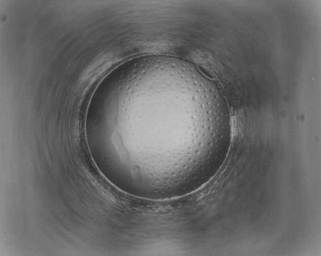 X0000076370243200610161057