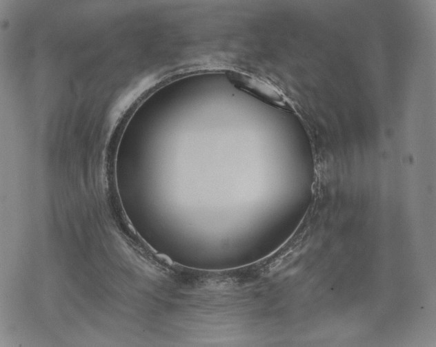 X0000076370248200610161057