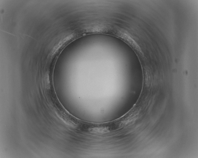 X0000076370251200610161057