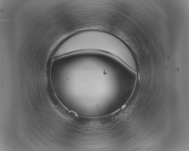 X0000076370252200610161057