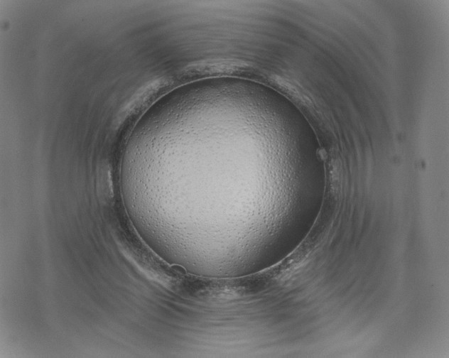 X0000076370254200610161057