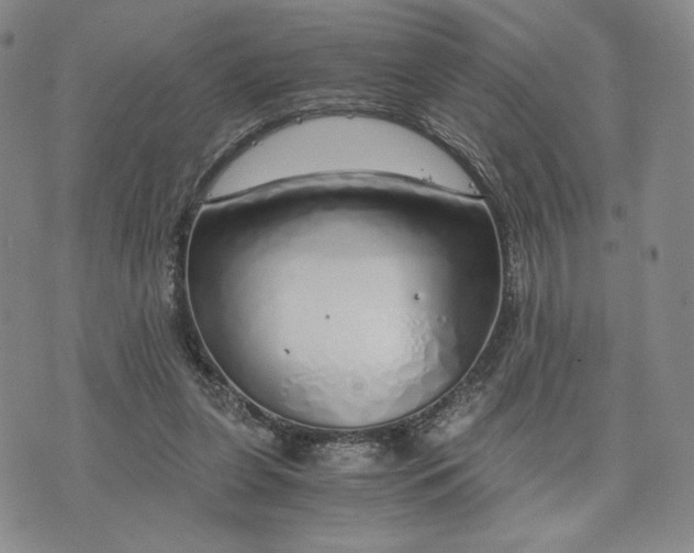 X0000076370255200610161057