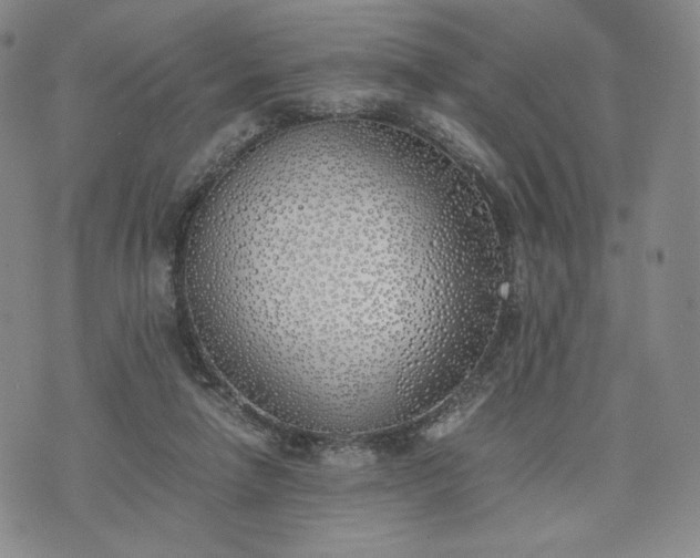 X0000076370258200610161057