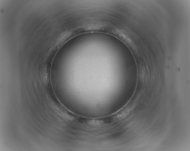 X0000076370261200610161057