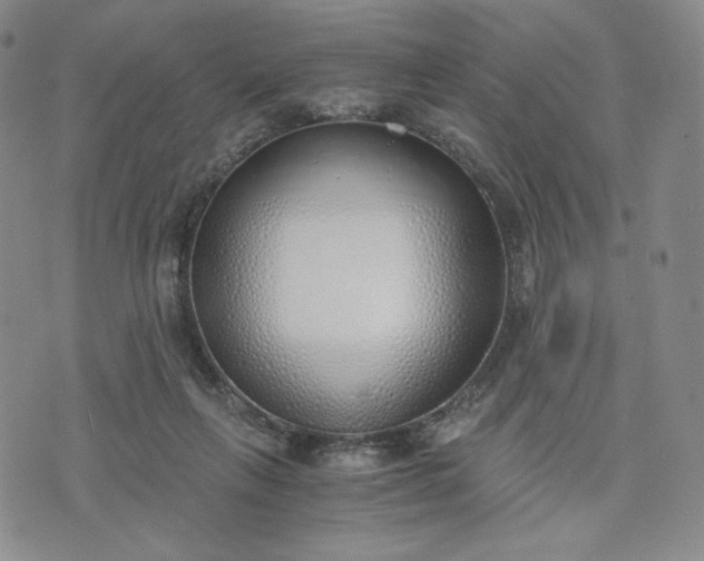 X0000076370263200610161057